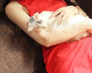 TGOD推女神 – 私拍里，赵伊彤和眼镜搭配得好火热，眼睛都快不够用了！